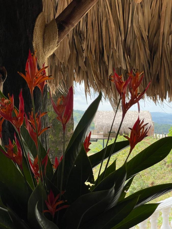 La Manola Finca Hotel Doradal Exteriér fotografie